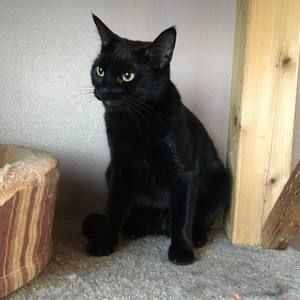 Meet your Posher, Lola